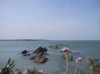 IMG_1936.JPG